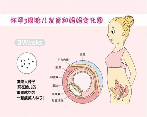 上海找人代孕无果_上海合法的代孕产子多少钱_安医试管成功率-孕早期总做春梦