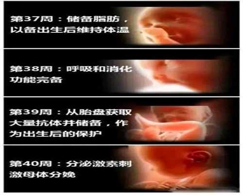 上海试管婴儿代孕会遗传吗_上海去那找代孕妈妈_国内靠谱代孕-恩必來Lupro是什