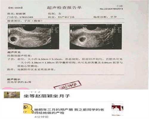 上海做代孕前的准备_上海在找代孕女士_赴海外生子的国家-为什么同一个房间后